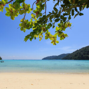 ทัวร์เกาะสุรินทร์ 3วัน 2คืน ทัวร์พังงา