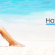 banner04
