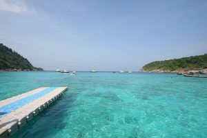 ทัวร์เกาะราชาครึ่งวันบ่าย