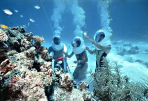 ทัวร์เกาะเฮ Sea Walker ด้วยเรือเร็ว ทัวร์ภูเก็ต 1วัน