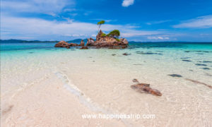 ทัวร์เกาะซาลิ เกาะพม่า 1 วัน